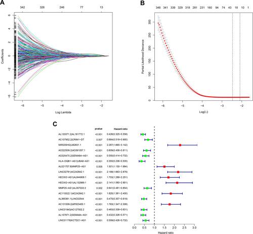 Figure 2 Identification of survival-related IRlncRs using LASSO regression analysis and multivariate Cox regression analysis. (A) LASSO coefficient profiles of the 28 sIRlncRs of SKCM. (B) Plots of the cross-validation error rates. Each dot represents a lambda value along with error bars that represent the confidence interval for the cross-validated error rate. The top of the plot gives the size of each model. The vertical dotted line indicates the value with the minimum error and the largest lambda value where the deviance is within one SE of the minimum. (C) Forest plots of HR of sIRlncRs pairs obtained by multivariate Cox regression analysis. A total of 6 DEGs were found to be prognostic factors. The genes with HR < 1 are protective factors, while the ones with HR > 1 are risk factors in SKCM.