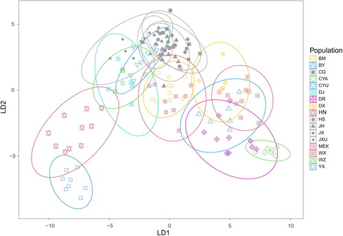 Figure 2. Discriminant analysis plot of A. cerana populations based on colony means of 32 characters measured (LD1 vs. LD2), with confidence ellipses at 95%. Each symbol represents one colony. All reference populations (CQ, HS, JH, JX, and JXU) are shown in gray with different shapes for different populations.