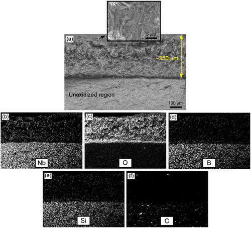 Figure 9. (a) Cross-sectional micrographs of sample 27S3G after oxidation at 1200°C for 180 min, and elemental composition maps showing the distribution of (b) niobium, (c) oxygen, (d) boron, (e) silicon, and (f) carbon. The inset in (a) is a surface micrograph of the oxide scale.