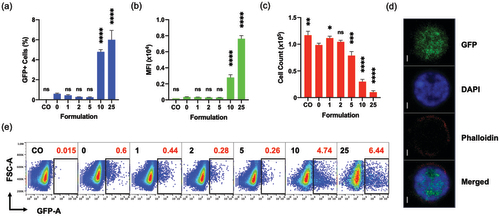 Figure 4. Effect of CaCl2 on the transfection of Jurkat cells analyzed by flow cytometer at 96 hpt. (a, b, c, e) “CO” is a cell only control; “0”, “1”, “2”, “5”, “10”, and “25” are polyplex formulations with 0-, 1-, 2-, 5-, 10-, and 25 mM CaCl2, respectively. (d) Split view of a GFP expressing Jurkat cell from “10” captured with an oil immersion lens at 100X using Confocal Microscope LSM700; Scale bar is 1 μm. (e) Sample code and respective transfection efficiencies (red) are indicated in each square box; one of the three replicates whose transfection efficiency is closer to the mean is chosen for the plot. (a, b, c) All comparisons are made with “0”; Results are presented as mean ± SD (n = 3; 1-way ANOVA with Dunnett’s multiple comparisons, * p = .0258, *** p =.0009, **** p <.0001).