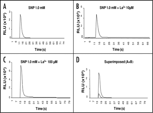 Figure 2 La3+ significantly diminishes the SNP-induced Ca2+ transient. Leaves were incubated with La3+ 10 µM (B) and 100 µM (C) for 4 hrs before SNP injection. (D) The superimposition of (A and B).