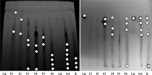 Figura 5. Cromatografía de capa fina: círculos, marcas reveladas con vainillin; rombos, marcas observadas bajo luz UV (365 nm). Figure 5. Thin layer chromatography: circles, marks revealed with vanillin; lozenges, marks observed under UV light (365 nm).