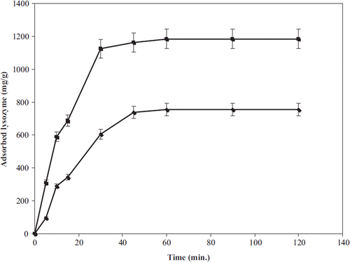 Figure 9. Effect of time on lysozyme adsorption; lysozyme concentration: 1.0 mg/mL; incubation time: 2 h; pH: 10.0; temperature: 25°C