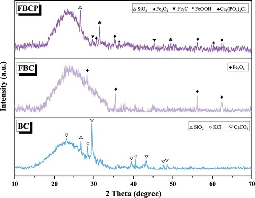 Figure 4. XRD patterns of the BC, FBC and FBCP