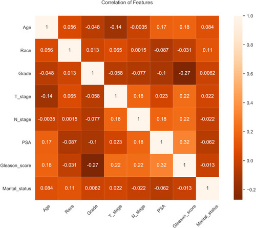 Figure 2 Results of correlation analysis between all variables. The heat map shows the correlation between the variables.