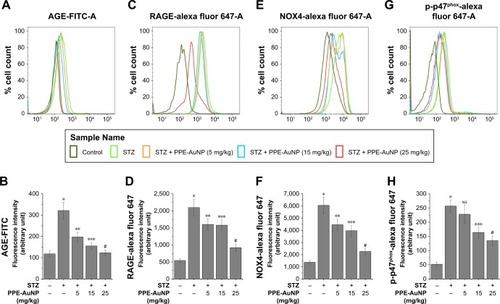 Figure 8 Representative flow cytometric histogram showing (A) AGE, (C) RAGE, (E) NOX-4, and (G) p-p47Phox expression.Notes: (B–H) Bar graph showing relative fluorescence intensities of AGE-FITC, RAGE-AF647, NOX4-AF647, and p-p47Phox-AF647, respectively. Values are represented as mean ± SEM (n=6). P<0.05 was considered as significant. Statistical comparison: *Control vs STZ; **STZ vs STZ + PPE-AuNP (5 mg/kg); ***STZ vs STZ + PPE-AuNP (15 mg/kg); #STZ vs STZ + PPE-AuNP (25 mg/kg).Abbreviations: AGE, advanced glycated end product; AuNP, gold nanoparticle; NS, nonsignificant; PPE, pomegranate peel extract; RAGE, receptor for advanced glycated end product; SEM, standard error of mean; STZ, streptozotocin.