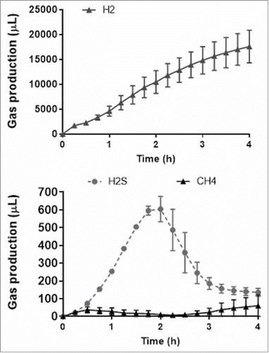 Figure 6. The interplay between H2, CH4 and H2S gas production over 4 h with the addition of fructo-oligosaccharides to cysteine in faecal slurries. Data is shown as mean (n = 4) ± SEM.