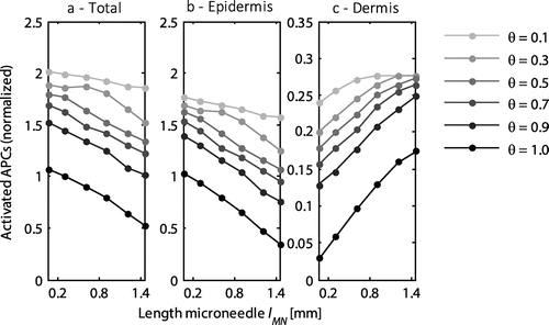 Figure 5. The normalized number of activated APCs as a function of the length of the microneedle for the entire skin (a), the epidermis (b), and the dermis (c). All values were normalized to the total number of antigen presenting cells activated with the default microneedle geometry (lMN = 0.3 mm) at a saturation threshold of 1. Each line represents a different saturation threshold, θ. Note the different scale on the y-axis for the dermis.