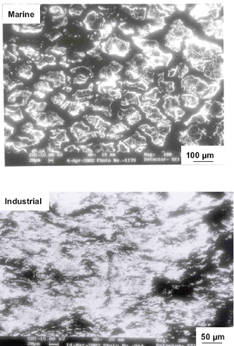 Figure 5 Surface morphologies of DMR-1700 steel after corrosion in different environments at room temperature.