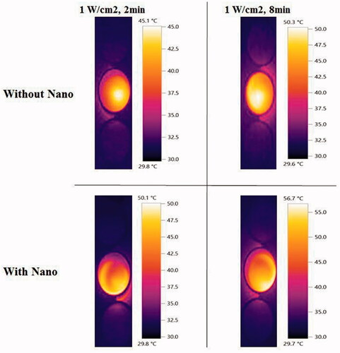 Figure 12. In vitro temperature elevation of KB cells receiving various conditions of laser irradiation.