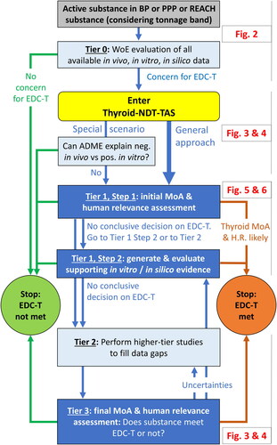Figure 1. Overview of the ECETOC and CLE Thyroid-NDT-TAS (see Figures 2–6 for details). BP: biocidal product; EDC-T: endocrine disruptor criteria for the thyroid modality; MoA: mode-of-action; PPP: plant protection product; REACH: Registration, Evaluation, Authorisation and Restriction of Chemicals; WoE: weight-of-evidence.