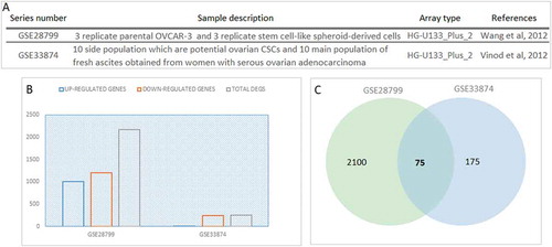 Figure 1. Differentially expressed genes (DEGs) in ovarian cancer stem cells. (A) Datasets descriptions used in the present study (B) The distribution of total differentially expressed genes (DEGs), down-regulated and up-regulated DEGs in each dataset (p-value <0.05). For each dataset, DEGs which had statistically significant alterations in their expression profiles among ovarian cancer stem cells and cancer samples were identified independently. (C) Venn diagram represents the comparison of DEGs across the two datasets. The gene symbols representing the 74 mutual DEGs were given below the diagram.