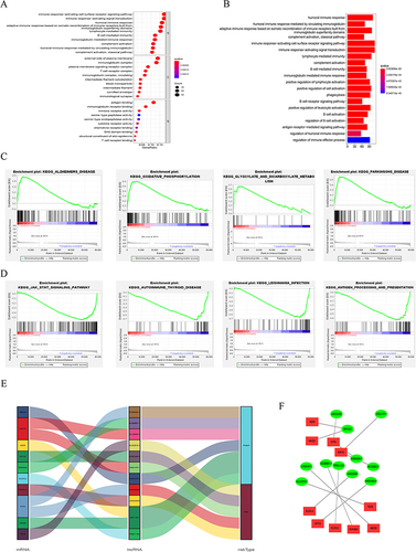 Figure 11 Functional analysis. (A) Top 10 classes of GO enrichment terms. (B) Top 30 pathways of KEGG enrichment terms. (C) Top 4 GSEA terms in high-risk group. (D) Top 4 GSEA terms in low-risk group. (E) lncRNA risk subgroup analysis. (F) Cytoscape of lncRNA–mRNA interaction network.