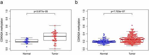 Figure 1. The methylation level of CDKN2A gene grew in GC tissues when viewed in contrast with normal gastric tissues. (a) TCGA datasets. (b) GSE30601 datasets