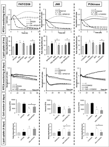 Figure 7 (See previous page). Real-time analysis of oleic acid-induced signaling pathways in 3T3L1-derived adipocytes D7. Lipogenesis was measured up to 4 h (upper panels), adipogenesis (lower panels) up to 4 d using RTCA system or AdipoRed uptake normalized to nuclei counts with Hoechst labelling in the presence of specific inhibitors, i.e. FAT/CD36 inhibitor AP5258 10 μM, Pi3kinase inhibitor LY294002 (20 μM) or JNK inhibitor SP600125 (20 μM), in presence or absence of either insulin (INS 0.05 mU/ml) or oleic acid (OA) 10 μM complexed to lipid-free bovine serum albumin (C: BSA 5%) (representative experiment). RTCA data are represented by cell indexes measured every 5 min during 50 cycles then every 15 min during 4 d and normalized at time of treatment measured every 5 min. All data are presented as mean values +/−SEM, n=6). Asterisks represent significant differences with control for Student's t-test p-values <0.05.