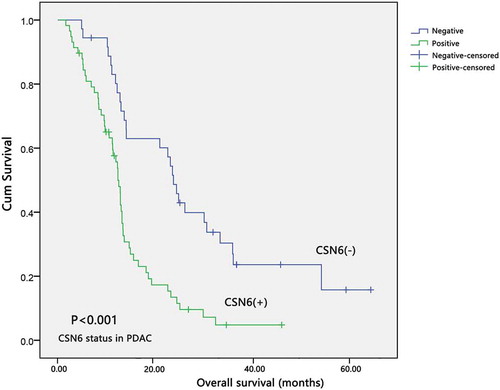 Figure 4. The expression of CSN6 and survival time in patients with PDAC. The overall survival curves for the high-CSN6 expression group and the low-CSN6 expression group; the difference is statistically significant (P < .001). PDAC, pancreatic ductal adenocarcinoma; CSN6, constitutive photomorphogenesis 9 (COP9) signalosome 6.