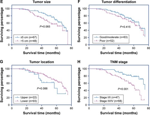 Figure 2 Analysis of overall survival in gastric adenocarcinoma patients.