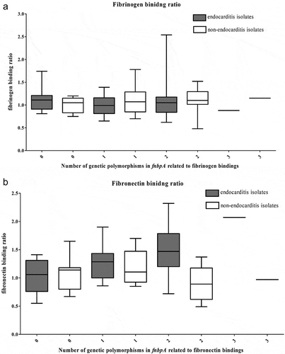 Figure 2. Correlations of the (a) number of genetic polymorphisms in the fnbpA gene and physical properties and (b) fibronectin-binding ratio of 37 Staphylococcus aureus isolates from native valve infective endocarditis cases and 37 S. aureus isolates from matched non-infective endocarditis bacteremia controls.