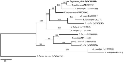 Figure 1. The maximum-likelihood tree based on 15 complete chloroplast genomes of Euphorbia and one outgroup species. The bootstrap value was shown on each branch.