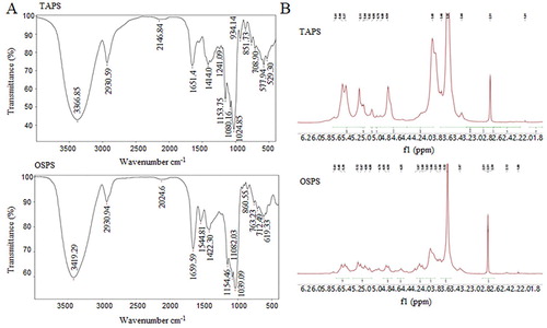 Figure 3. (A) FT-IR spectra of TAPS and OSPS in the range of 4000–400 cm−1. (B) 1H-NMR spectra of TAPS and OSPS.