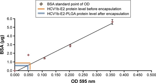 Figure 4 HCV1b-E2 protein at 0.5 mg was dissolved into DMSO and quantitated by the Bradford assay before encapsulation.Note: The quantitation of encapsulated protein into PLGA microspheres is 0.45 mg.Abbreviations: DMSO, dimethyl sulfoxide; PLGA, poly d,l-lactic-co-glycolide; BSA, bovine serum albumin; OD, optical density.