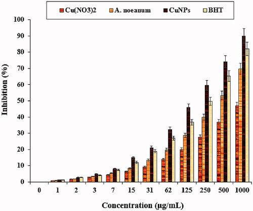Figure 7. The antioxidant properties of Cu(NO3)2, A. noeanum leaf aqueous extract, CuNPs, and BHT against DPPH.