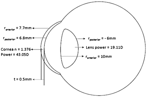 Figure 6. Schematic diagram of the eye depicting the optical data of cornea. r – radius of curvature, n – refractive index, t – thickness.