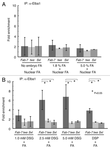 Figure 1. DSG or DSP cross-linking of embryo improves the chromatin IP of Elba1. (A) The Elba1 ChIP from formaldehyde (FA) cross-linked embryo did not give significant enrichment of the Fab-7 Elba recognition sequence. 2–5 h old Oregon R embryos were treated as indicated with formaldehyde, and the isolated nuclei were subjected to the ChIP processes with anti-Elba1 #2 antiserum of ref. Citation9. The relative amounts of the DNA fragments were measured by SYBR-green qPCR and the ratio of 'Immune serum IP/Pre-immune serum IP' (fold-enrichment) was calculated using the ∆∆Ct method. Each experiment was repeated more than 3 times to obtain the standard deviation shown as an error bar. (B) The cross-linking of embryo with NHS-esters improved the enrichment of Elba1 ChIP at the target site. The 2–5 h old Oregon R embryos were first cross-linked with indicated concentration of DSG or DSP in the PBS/heptane for one hour followed by 4% FA treatment for 15 min. The ChIP experiments and data analyses were applied as described above.