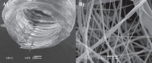 Figure 1 SEM imaging of micro- and nanofiber electrospun PCL/PGLA tubular scaffolds designed for regenerating sciatic nerve transections. A) Tube lumen and B) zoomed details of the tube wall. Both nano- and microfibers are visible. Fiber links are obtained via partial solvent evaporation and polymer annealing subsequent to electrospinning in order to increase the overall prosthesis mechanical properties (image by courtesy of Joseph Lowery).