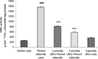 Figure 2 Effect of pretreatment of rats with luteolin on NiCl2-induced enhancement of renal ornithine decarboxylase (ODC) activity. Each value represents mean±SE of six animals. ###Significant (p < 0.001) when treated with saline-treated control group. ***Significant (p < 0.001) when compared with NiCl2-treated group. Doses (D1 and D2) represent 10 and 20 µmol/kg body of luteolin.