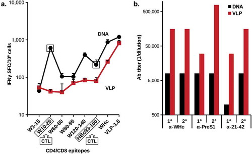 Figure 9. Comparison of delivery of PreS1-WHc VLP-1.6 as a DNA plasmid or as a protein. Groups of five wild-type B6 mice were immunized i.m. with 50 µg of pVAX-VLP-1.6 DNA by electroporation (EP) using the Clinporator device (IGEA, Italy) and boosted 1 month later or mice were immunized (i.m. with 20ug) of VLP-1.6 in IFA and boosted with 10 g one month later. A. Detection of IFNγ-specific spot-forming cells (SFC)/106 spleen cells were determined with a commercial ELISPOT assay. Error bars indicate standard deviation of five pooled spleens measured in triplicate. B. Ab production after the primary (1°) and the boost (2°) was determined by ELISA of pooled sera on the panel of antigens shown. The MHC class I-restricted CD8+CTL epitopes on WHcAg (W10-25) and on HBcAg (H93-100) for B6 mice are indicated. The other peptides are MHC class II-restricted CD4+Th cell epitopes.