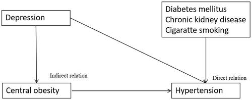 Figure 1. Flowchart illustrating the study’s conceptual framework. The dependent variable was hypertension. The independent variable was depression. The moderating variable was central obesity. The confounding variables were diabetes mellitus, chronic kidney disease, and cigarette smoking.