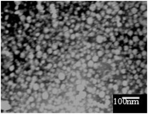 Figure 9. TEM image of L-SMEDDS of LX.