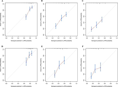 Figure 2 The calibration curves for predicting the 1-, 3- and 5-year recurrence-free survival (RFS) in the training (A–C) and validation (D–F) cohorts.