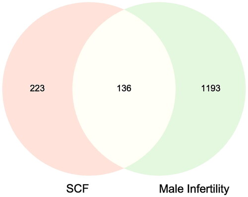 Figure 2. Venn diagram of SCF-MI intersection target. The pink and yellow represent the targets of SCF, the green and yellow represent the targets of MI, and the yellow represents the intersection targets.