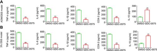 Figure 4 GDC-0575 regulates inflammatory cytokines expression in colons. (A) ELISA analysis of TNF-α, IL-6, IL-1β, COX-1, and IL-10 expression in colons of CAC mice treated with DMSO or GDC-0575 (n=3, **p<0.01). (B) ELISA analysis of TNF-α, IL-6, IL-1β, COX-2 and IL-10 expression in colons of colitis mice treated with DMSO or GDC-0575 (n=3, **p<0.01).