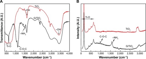 Figure 4 (A) FT-IR spectra and (B) Raman spectra of TiO2 before and after being loaded with gentamicin.Abbreviations: A.U., absorbance unit; FT-IR, Fourier-transform infrared; G/TiO2, gentamicin/TiO2.