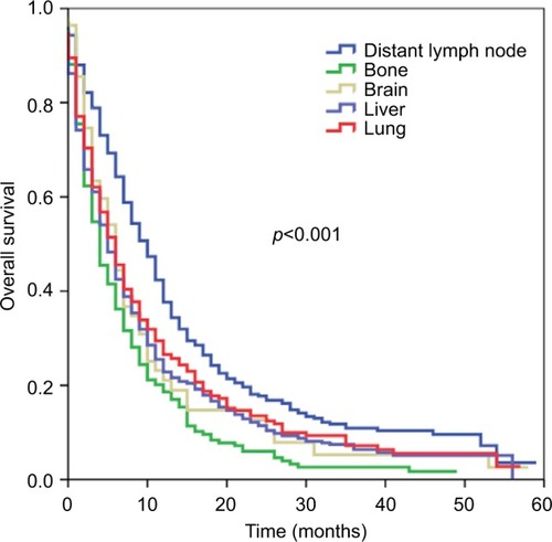 Figure 1 Kaplan–Meier survival curves for patients with metastatic esophageal cancer stratified by sites of distant metastases.