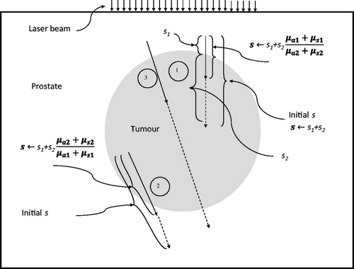 Figure 3. Modifications of photon step sizes involving multiple tissue regions.