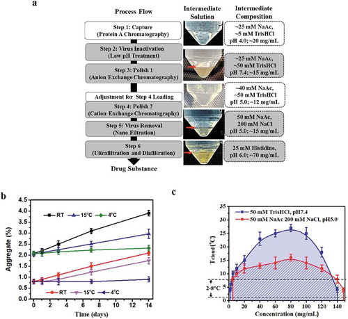 Figure 1. LLPS observed with mAb-X and interfered with the downstream manufacturing process. (a) Downstream process flow for mAb-X, purification intermediate solution (at 4oC), and the corresponding solution composition. mg/mL concentration is for mAb-X. The purification intermediates from the grey-shaded steps showed LLPS under the refrigerated conditions. (b) Aggregation rate for mAb-X purification intermediates at different temperatures. (c) Liquid-liquid coexistence curves for mAb-X under the two indicated conditions.