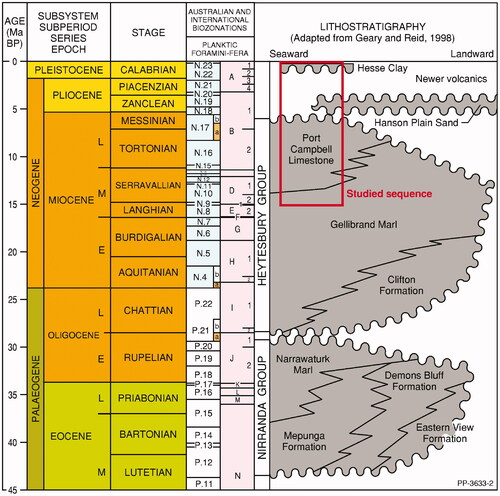 Figure 2. Stratigraphic context of the Port Campbell Limestone in the Otway Basin.