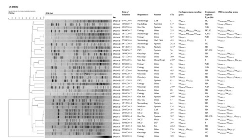 Figure 2 Dendrogram of the 36-PFGE-X-bal identified CRKP isolates collected from paediatric patients showing their genetic relatedness by date of isolation, department of isolation, sources of specimen, sequences types, replicon type, resistant determinants and clonal relatedness.