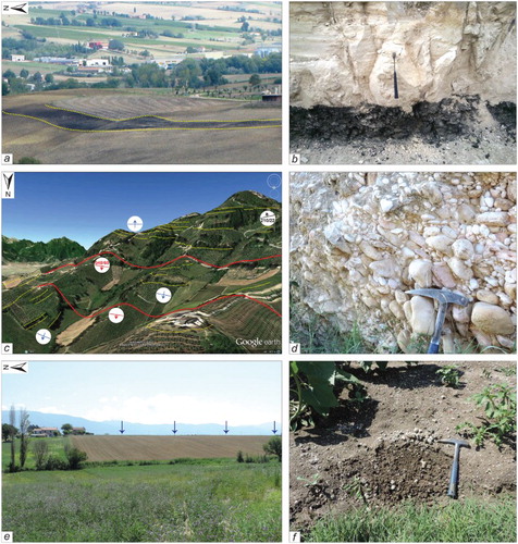 Figure 1. Landscape view (left column) and outcrop view (right column) of the Bevagna Unit (BU, a, b), of the Montafalco Unit (MU, c, d) and of the Pianacce Unit (PU, e, f). Images (a) and (b) show the striking difference in colours in both the landscape and in the outcrop of the lignite beds contained in the Bevagna Unit, BU. Image (c) shows the significant topographic relief generated by the Montefalco Unit, MU. Yellow dotted lines indicate some of the morphologic discontinuities interpreted as bedding indicators due to the alternation of gravelly, sandy and subordinated silty deposits, mainly dipping toward S–SW (NE), in the upper (lower) part of the relief. The relief is affected by two NW–SE trending normal faults, which separate three distinct domains, characterized by different bedding attitude. Blue symbols indicate bedding attitude obtained by aerial photo-interpretation (CitationMarchesini, Santangelo, Fiorucci, Cardinali, Rossi, & Guzzetti, 2013; CitationMarchesini, Santangelo, Guzzetti, Cardinali & Bucci, 2015; CitationSantangelo, Marchesini, Cardinali, et al., 2015b). Black (red) symbol is for field measurement, dip direction and inclination, of bedding (fault) planes. (d) The imbricates within the conglomerates are evident, the hammer tip indicates the flow direction (from NE to SW). Images (e) and (f) show the flat morphology (indicated by the blue arrows) and the dark brown lithology of the Pianacce unit, PU.