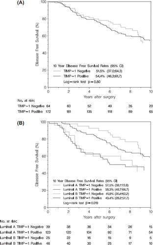 Figure 1. Kaplan-Meier estimates of disease free survival according to TIMP-1 status (A) and luminal subtype (B), n = 236 and n = 235, respectively (one patient with missing Ki67 score).