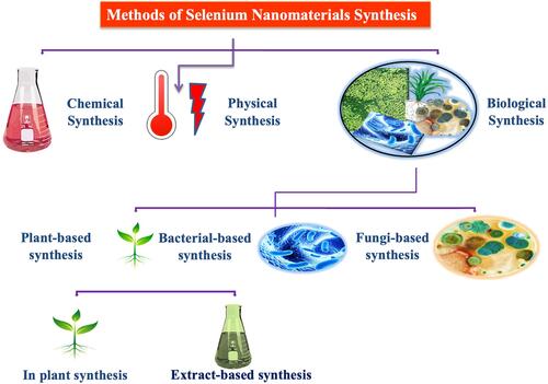 Figure 2 Different routes for the synthesis of SeNPs.