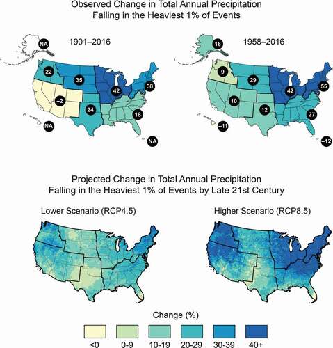 Figure 8. Figure from NCA4 shows that heavy precipitation is becoming more intense and more frequent across most of the United States, particularly in the Northeast and Midwest, and that these trends are projected to continue in the future. This map shows the observed (top; numbers in black circles give the percentage change) and projected (bottom) change in the amount of precipitation falling in the heaviest 1% of events (above the 99th percentile of the distribution). Observed historical trends are quantified in two ways. The observed trend for 1901–2016 (top left) is calculated as the difference between 1901–1960 and 1986–2016. The values for 1958–2016 (top right), a period with a denser station network, are linear trend changes over the period. The trends are averaged over each National Climate Assessment region (see Hayhoe et al. Citation2018 for full methodology). Projected future trends are for a lower (RCP4.5, bottom left) and a higher (RCP8.5, bottom right) scenario for the period 2070–2099 relative to 1986–2015. Data for projected changes in heavy precipitation were not available for Alaska, Hawai‘i, or the U.S. Caribbean. Sources: Hayhoe et al. Citation2018; top maps adapted from Easterling et al. Citation2017