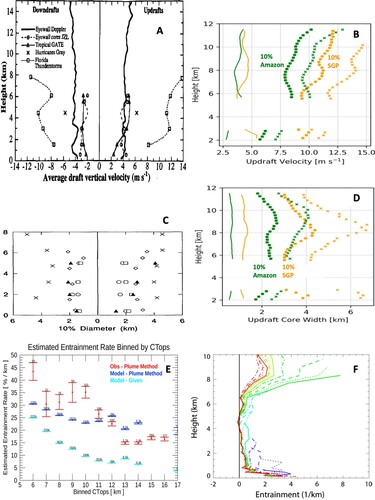 Fig. 4 (A) Average vertical velocity in the strongest 10% convective updrafts and downdrafts in oceanic convection comparing with Florida Thunderstorm Project data (from Black et al., Citation1996). (B) Average vertical velocity in the strongest 10% convective updrafts in Amazon and Southern Great Plain (SGP) (from Wang et al. 2020). (C) Same as A but for convective core width (from Lucas et al., Citation1994). (D) Same as B but for convective core width. (E) Global estimated entrainment rate binned by cloud top heights (from Stanfield et al., Citation2019). (F) Vertical profile of entrainment rate for TWP-Ice in Australia (from Zhang et al., Citation2016).