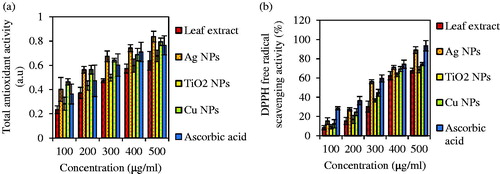 Figure 11. Total antioxidant activity and DPPH free radical scavenging activity of leaf extract and Ag, Cu, TiO2 NPs. Ascorbic acid solution was presented as standard. Values are means of three independent analyses ± standard deviation (n = 3).