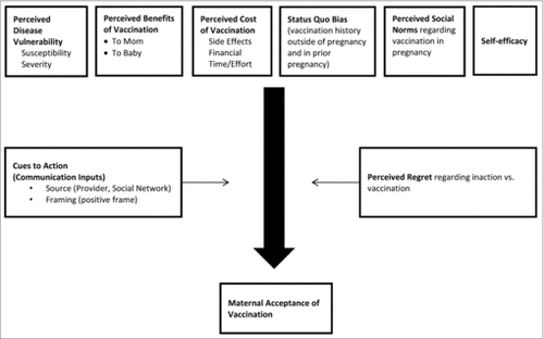 Figure 1. Modified health belief model as a theoretical framework for maternal acceptance of vaccination.32