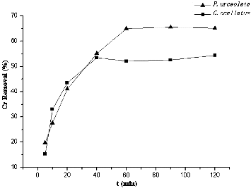 Figure 4. Adsorption rate of Polysiphonia urceolata and Chondrus ocellatus.